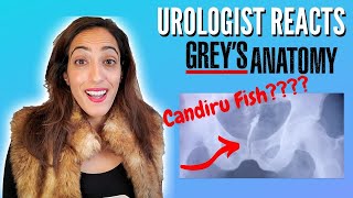 Urologist Reacts To Greys Anatomy  Painful Scrotum amp Candiru Fish in the Penis [upl. by Vano]