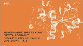 Protein structure by Xray crystallography [upl. by Kristien769]