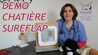 Démonstration de la chatière électronique SureFlap [upl. by Asiel]