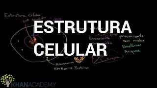 Estrutura Celular  Biologia  Khan Academy [upl. by Papp195]