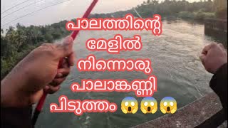 പാലാൻ കണ്ണി പിടുത്തം fishing tarpoon fishing kerala [upl. by Armil278]