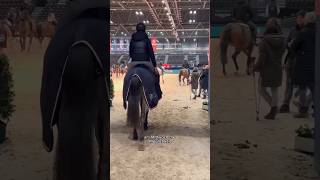 PARTNER Pferd Leipzig Engarde Amateur Trophy 🏆 Tag 1 pferde reitsport leipzig partnerpferd [upl. by Meg376]