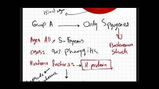 Microbiology  Streptococcus Species GramPositive Cocci [upl. by Anaed]