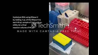 Sample preparation for Affymetrix GeneChip Clariom D Microarray [upl. by Htebsle]