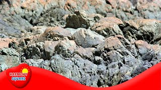 Rock and the Rock Cycle  More Grades 912 Science on the Learning Videos Channel [upl. by Aicilehp]