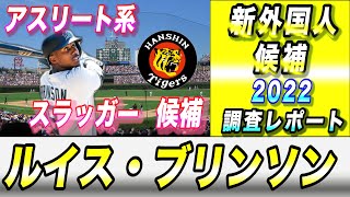 【阪神タイガース】新外国人 調査レポート2022 メジャーFA 外野手 大砲候補か！？8人目の外国人は誰だ！？ ルイス・ブリンソン選手 [upl. by Oiragelo]