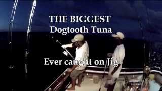 Dogtooth Tuna World Record  Biggest Dogtooth ever caught on jig  Jason and Mady [upl. by Gillman]