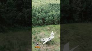 PLANE CRASH ✈️🛩️experiment plane crash mrbeasti MrBeast [upl. by Rhu491]