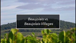 Georges Duboeuf  Episode 12  Beaujolais vs Beaujolais Villages [upl. by Zollie681]