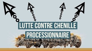 Comment éliminer les chenilles processionnaires  Les différents moyens de lutte contre la chenille [upl. by Tirb]