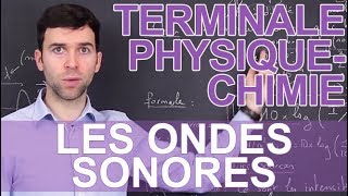 Les ondes sonores  PhysiqueChimie  Terminale  Les Bons Profs [upl. by Gussy]