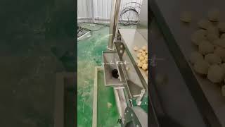 twin screw extruder making machine [upl. by Ellswerth]