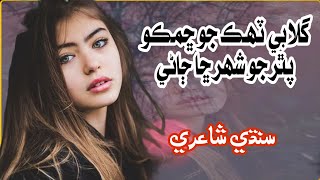 Gulabi Tahk Jo Chhimko  Sindhi Poetry  Sindhi Shayari [upl. by Allevon568]