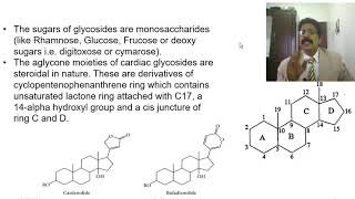 Biosynthetic path ways of glycosides  flavonoids and aliphatic amino acidsbiosynthetic pathways [upl. by Lalage]