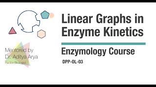 Linear Graphs in Enzyme Kinetics Bilingual [upl. by Barrada]