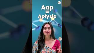 Phylum Mollusca Short Tricks  Priya Pandey Mam  shorts tricks [upl. by Ag]