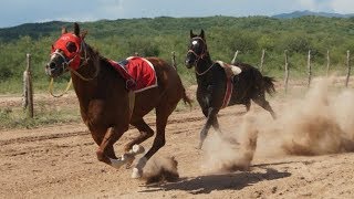 Carreras de Caballos en Opodepe 13 de Agosto 2017 [upl. by Kcirderfla398]