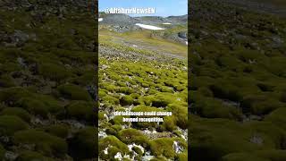 The surface of Antarctica is rapidly turning green [upl. by Hefter711]