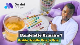 Comment réaliser la bandelette urinaire  Tutorielanalyse [upl. by Etteniotnna]