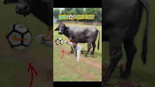 Ball⚽Ground में गिरने से बचाओ3😱🤯 comedy football [upl. by Hacissej164]