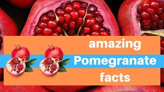 Top 40 Interesting Pomegranate Facts  Amazing facts About Pomegranate [upl. by Maurey]