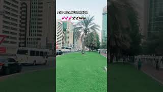 Abu Dhabi Khaldiya beautiful view howtoearnmoneyindubai abudhabi [upl. by Anitsrihc662]