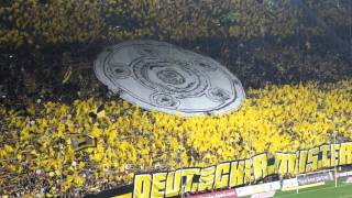 BVB Dortmund Gänsehaut im Westfalenstadion [upl. by Mencher919]