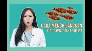 CARA MENGHILANGKAN KUTU RAMBUT DAN TELURNYA SAMPAI TUNTAS [upl. by Barby]