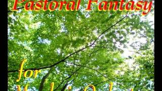 Pastoral Fantasy for Mandolin Orchestra Hiro Fujikake [upl. by Aldric]