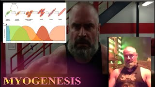 Muscle Farming How Myogenesis might allow quotPerpetualquot Gains [upl. by Notsag496]