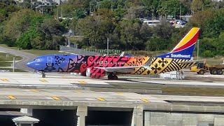 HUGE BACKUP  PLANE SPOTTING AT TAMPA INTERNATIONAL AIRPORT TPA  SOUTHWEST NETJET AVELO UNITED [upl. by Arraic178]