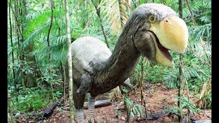 Prehistoric Animal Animatronic Bullockornis and Elasmotherium [upl. by Annaihs]