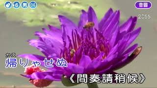 伊豆の佐太郎 cover明東220804 1922 [upl. by Annaiel979]