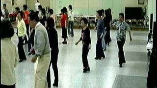 SNT Shake Senora Line Dance  042910 [upl. by Moya537]