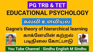 PG TRBTET Educational Psychology Gagnes theory of hierarchical learning in tamil [upl. by Trotta]