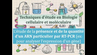 Fiches Techniques  Létude de la présence et de la quantité dun ARN particulier par RTPCR [upl. by Damiano]