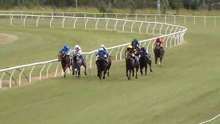 Mareeba 20240526 Race 1 [upl. by Eivla]