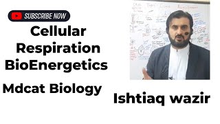 Respirationcellular lecture1 BIOENERGETICS [upl. by Lugar]