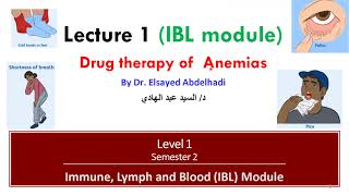 IBL Lecture 1  Drug Therapy of Anemias  Dr Elsayed Abdelhadi 2024 [upl. by Aicilanna]