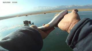 Grantsville Reservoir Ice Fishing Great day I caught 18 fish today [upl. by Eitak]