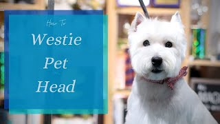 How to Do a Westie Pet Head  with Master Groomer [upl. by Jehu122]