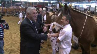 Concours de chevaux Trait Auxois HD [upl. by Devlen]