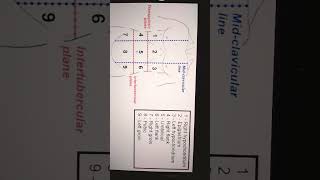 9 REGIONS OF ABDOMEN anatomy abdomen [upl. by Guise181]