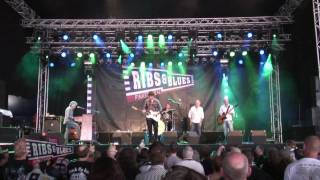 RibsampBlues 2010  King Mo  deel 2 [upl. by Akienahs]