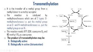 Transmethylation cycle donors acceptors [upl. by Drallim461]