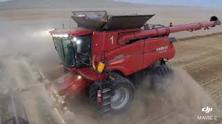 Case IH 9250 axial flow [upl. by Weissberg771]