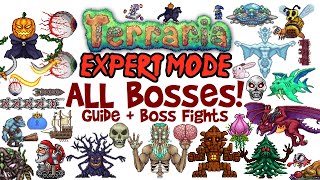 The Terrarian Challenge Astrum Aureus Guide [upl. by Allenotna]