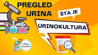 Laboratorijski pregled urina šta je urinokultura [upl. by Enawyd696]