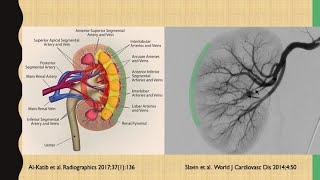 Parenchymal liver biopsy parenchymal kidney biopsy [upl. by Eceer696]