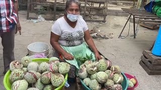 TEMPORADA DE ILAMAS ANONAS PAPAUSE  DOMINGUEANDO X LOS PUEBLOS DE GUERRERO M X  ILAMAS SEASON [upl. by Allen755]